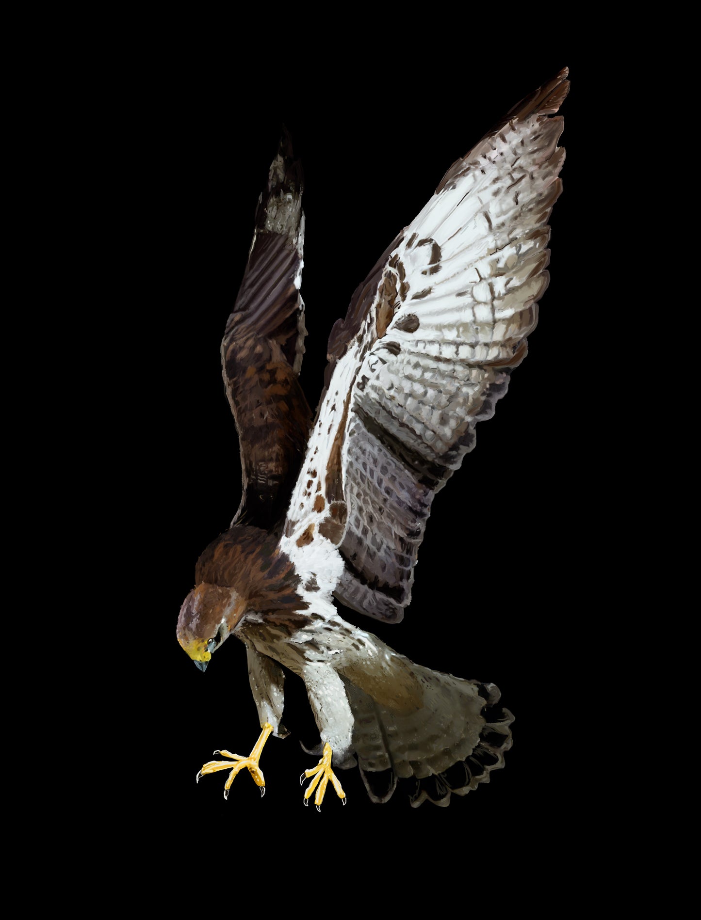 Falcon Tee